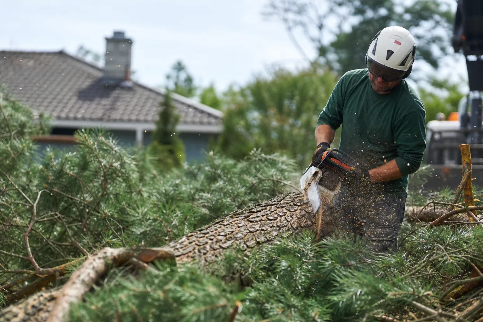 Tree Removal intake preview