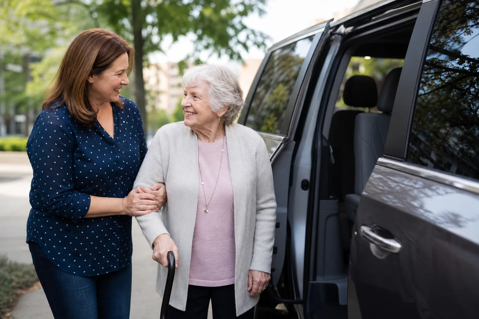 Transportation Assistance intake preview