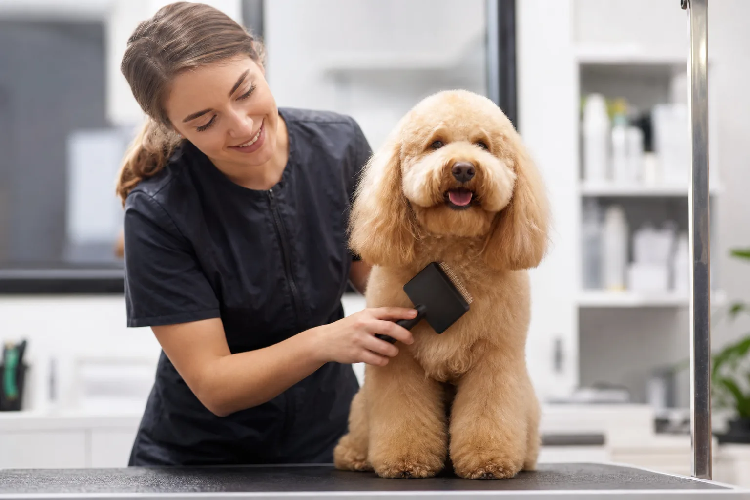 Pet Grooming intake for Veterinary and Pet Care