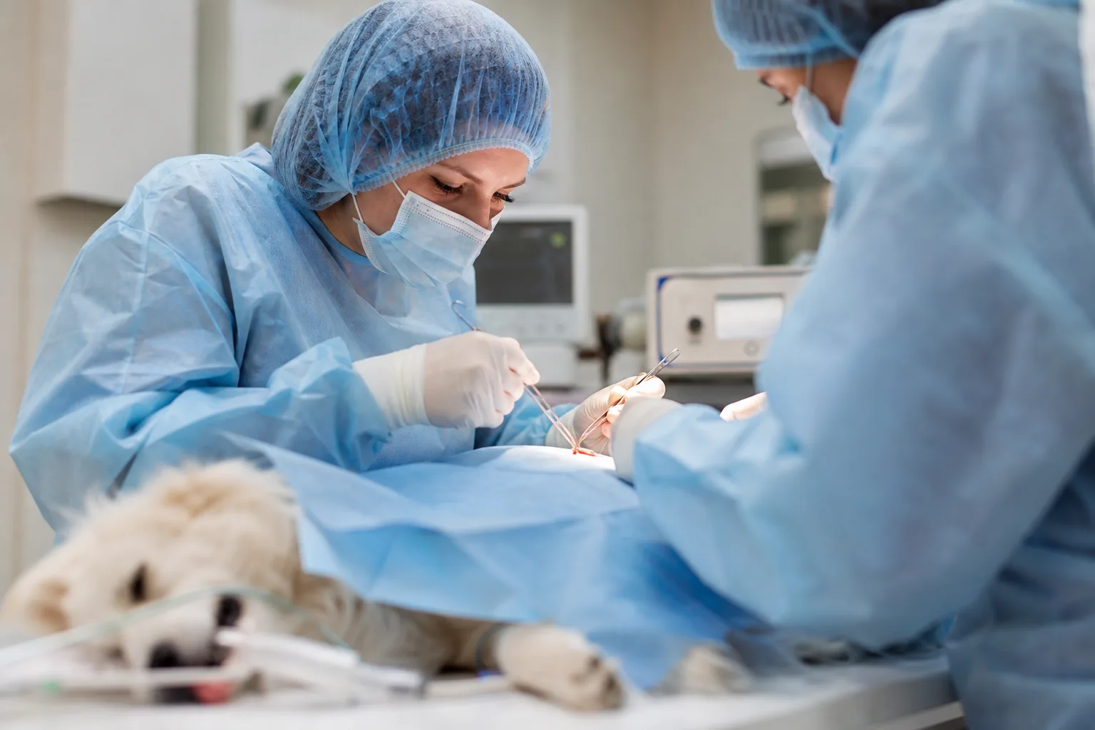 Soft Tissue Surgery intake preview